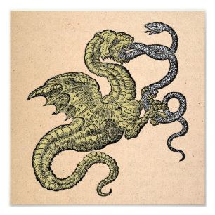 Gold Dragon vs. Silver Snake Photo Print