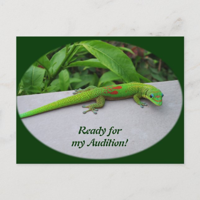Gold Dust Day Gecko – Audition and Get Some Gecko Postcard (Front)
