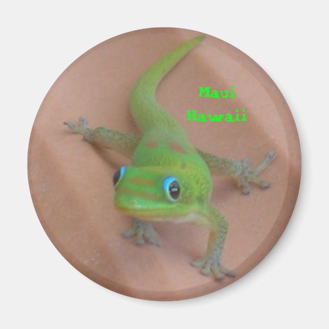 Gold Dust Day  Gecko Magnet (Front)