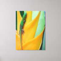 Gold Dust Day Gecko on a Heliconia