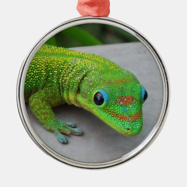 Gold Dust Day Gecko Ornament (Front)