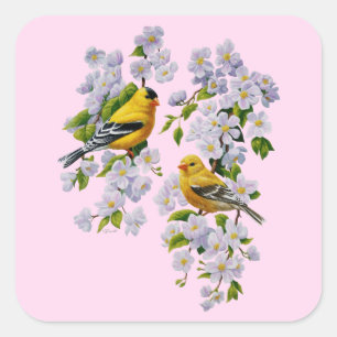 Gold Finch Birds & Apple Tree Pink Square Sticker