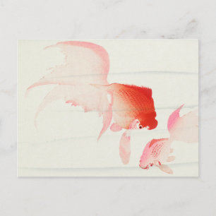 Gold Fish Painting by Ohara Koson Postcard