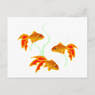 Gold Fishies Postcard