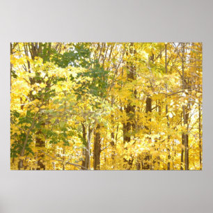 Gold Foliage Poster