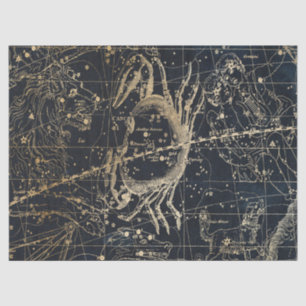 Gold Galaxy Star Map Series Design 6 Tissue Paper