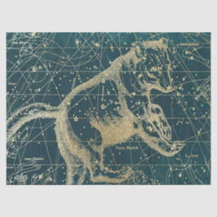 Gold Galaxy Star Map Series Design 7 Tissue Paper