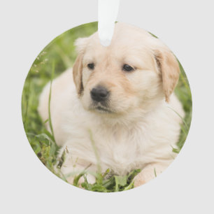 Gold Lab Puppy customisable Christmas Ornament