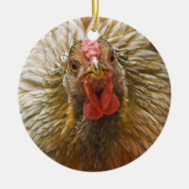 Gold-Laced Wyandotte Chicken Ceramic Tree Decoration (Front)