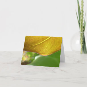 Gold Leaf Notecard