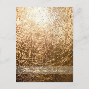 Gold Light 001 Postcard