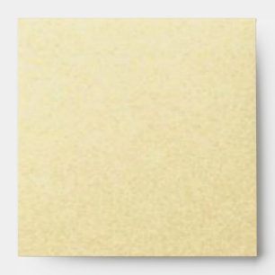 Gold Lined with Black and White Stripes Square Envelope
