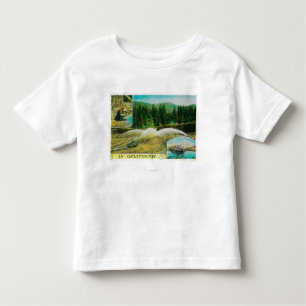 Gold Mining in California StateState Toddler T-Shirt