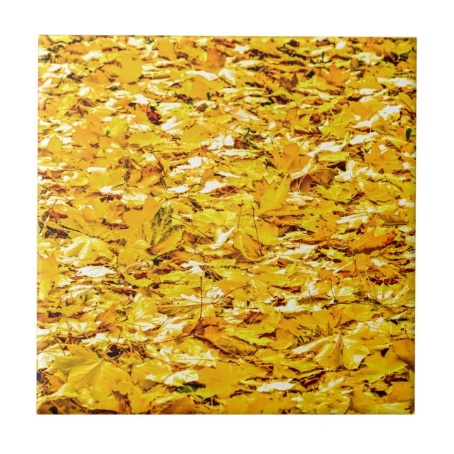 Gold Of Autumn Tile (Front)