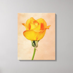 Gold Orange Single Rose Flower Art Canvas Print
