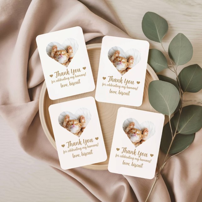 Gold Photo Cat Wedding Favour Playing Cards (Creator Uploaded)