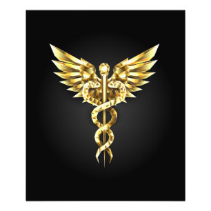 Gold Polygonal Symbol Caduceus Photo Print