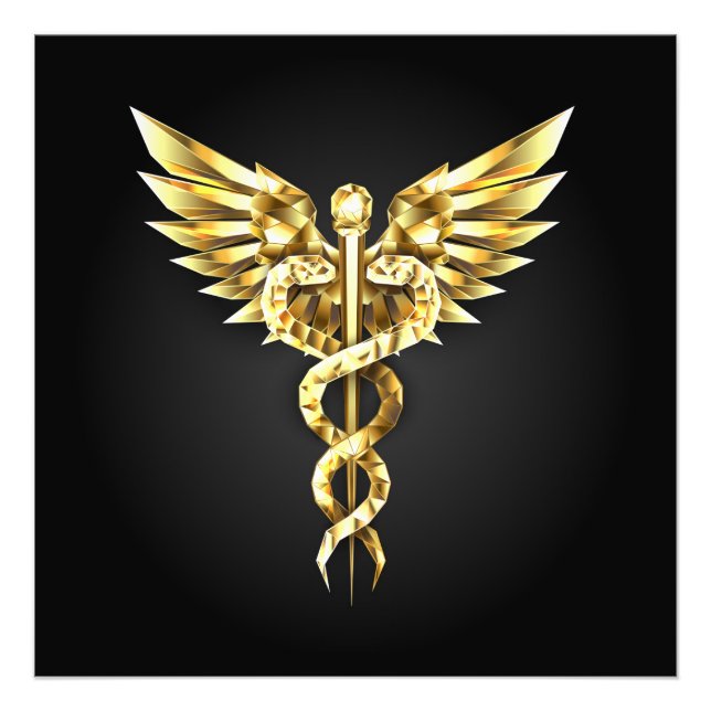 Gold Polygonal Symbol Caduceus Photo Print (Front)