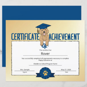 Gold Puppy Program Pet Obedience School Pre Puppy 