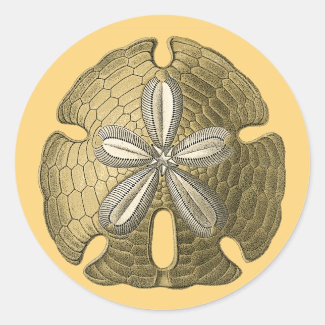 Gold Sand Dollar Classic Round Sticker (Front)