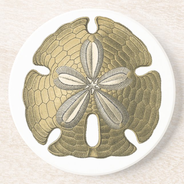 Gold Sand Dollar Stone Coaster (Front)