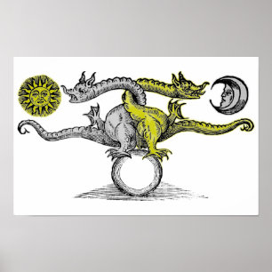 Gold & Silver Dragons Poster