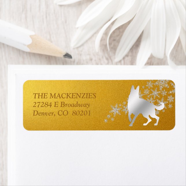 Gold Silver Winter German Shepherd Dog1 (Insitu)