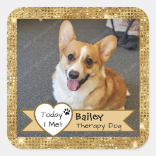 Gold Sparkle Therapy Dog Today I Met Visit Square Sticker