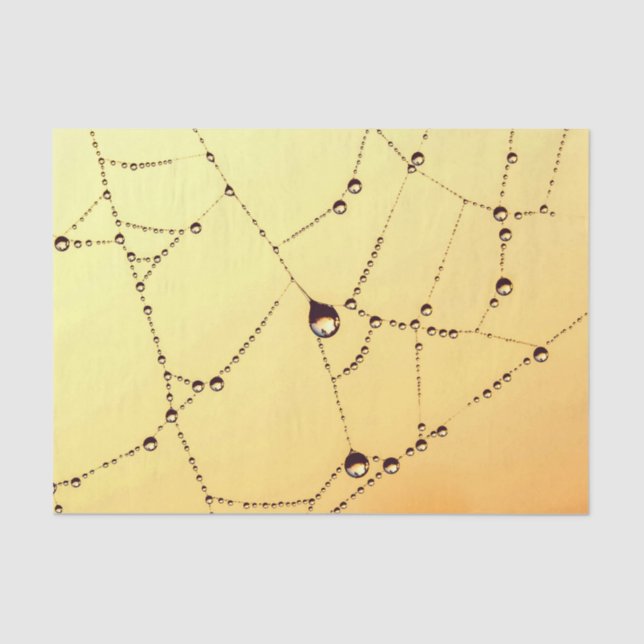 Gold spiderweb elegant tissue paper (Front)