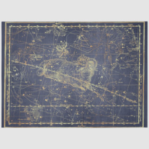 Gold Star Map Series Design 14 Tissue Paper