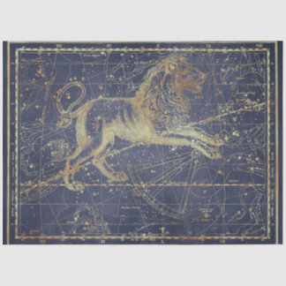 Gold Star Map Series Design 18 Tissue Paper