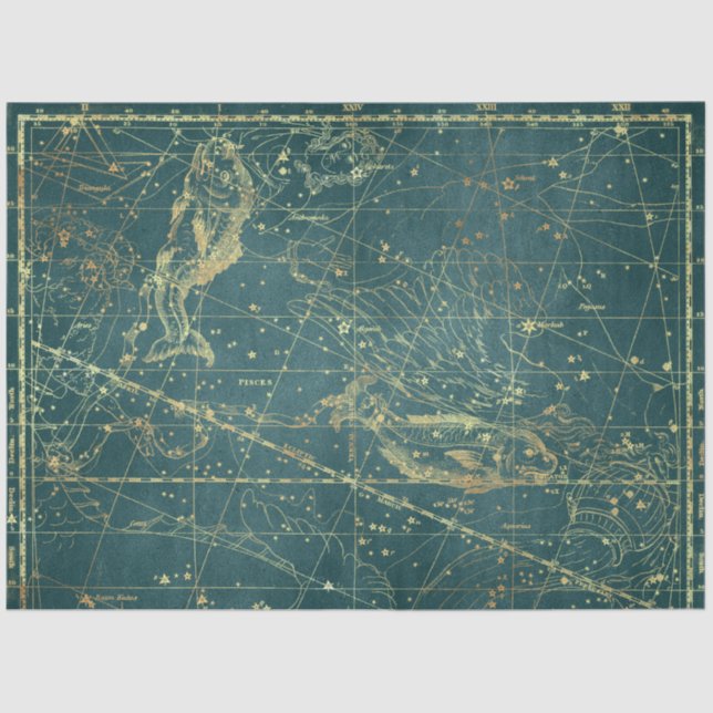 Gold Star Map Series Design 1 Tissue Paper (Front)