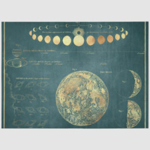 Gold Star Map Series Design 27 Tissue Paper