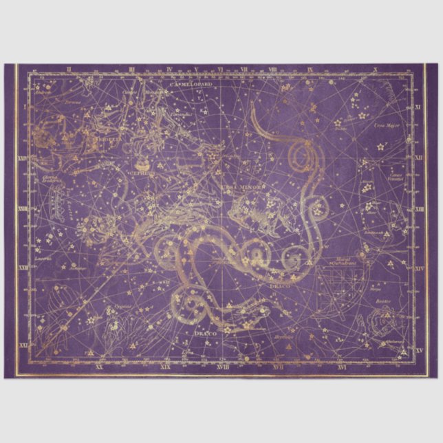 Gold Star Map Series Design 3 Tissue Paper (Front)