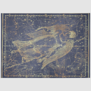 Gold Star Map Series Design 4 Tissue Paper