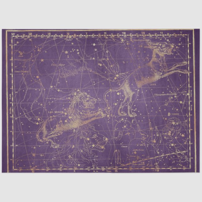 Gold Star Map Series Design 5 Tissue Paper (Front)