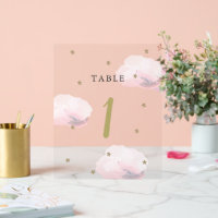 Gold Star & Pink Cloud Baby Shower Table Number