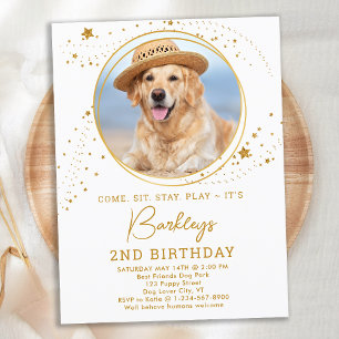 Gold Stars Dog Birthday Personalised Pet Photo Invitation Postcard