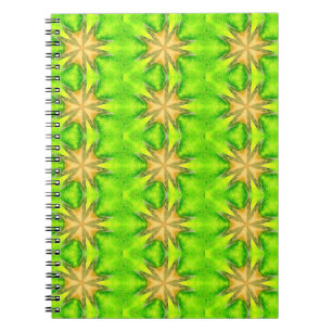 gold stars on green notebook