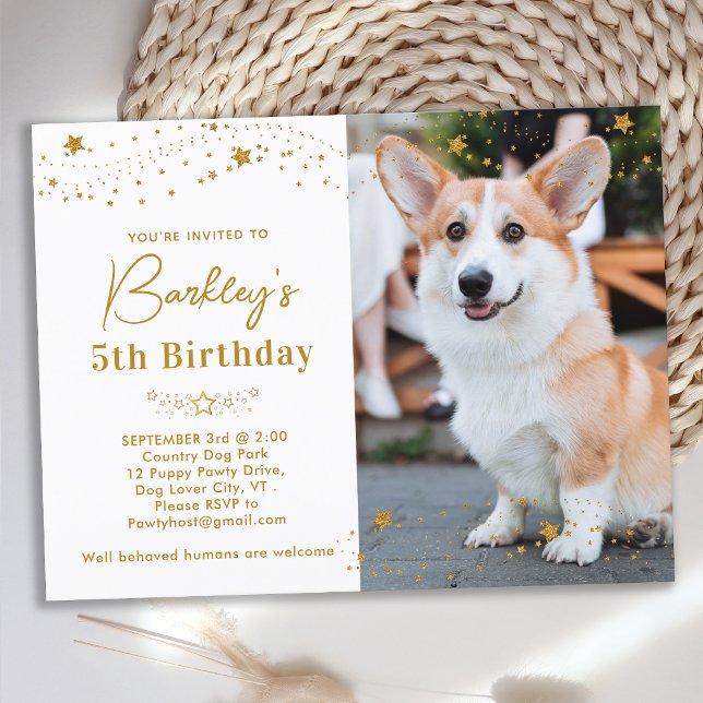 Gold Stars Personalised Pet Photo Dog Birthday Invitation Postcard (Creator Uploaded)