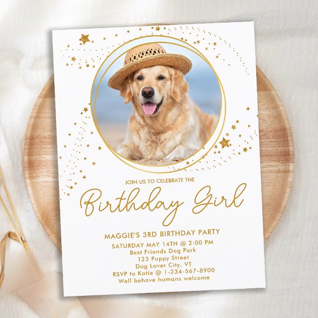 Gold Stars Personalised Pet Photo Dog Birthday  Invitation Postcard (Creator Uploaded)