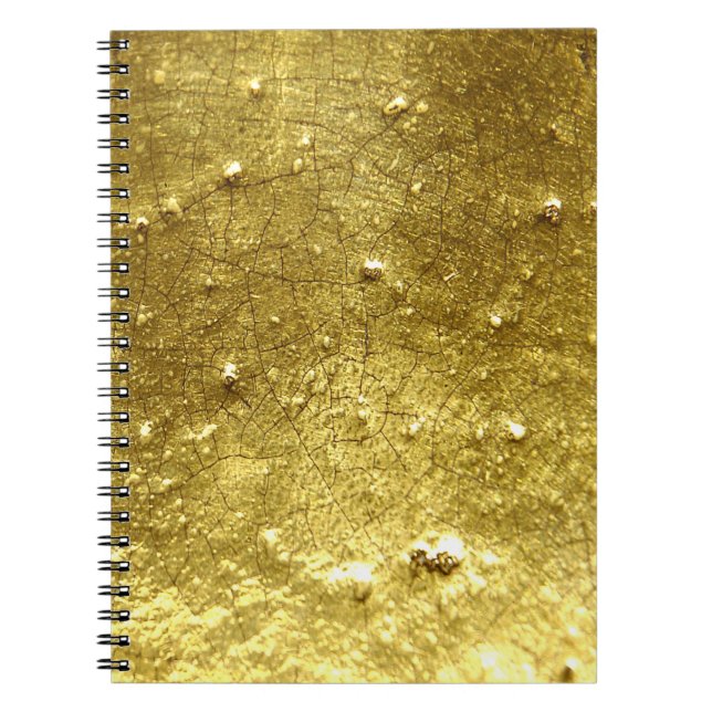 Gold stone spiral notebook (Front)