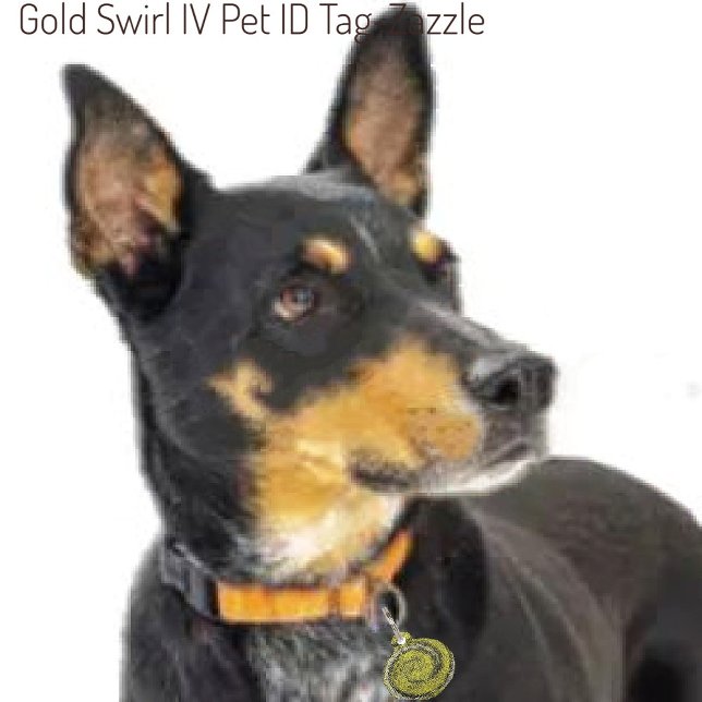 Gold Swirl IV   Pet Tag (Creator Uploaded)