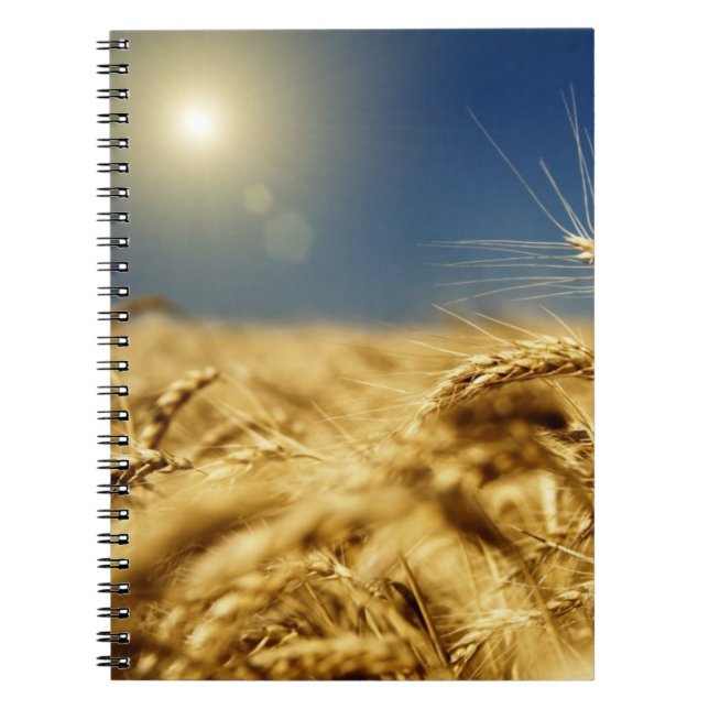 Gold wheat and blue sky with sun spiral notebook (Front)