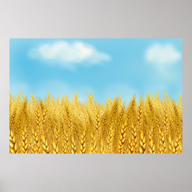 Gold Wheat Field Blue sky Oil Painting Summer Poster (Front)