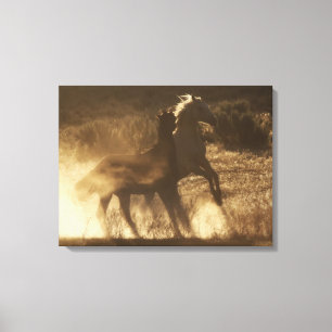 GoldDust Wild Kids Canvas Print