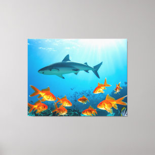 Golden Among Sharks Canvas Print