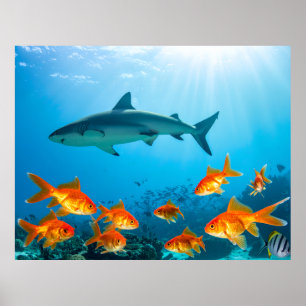 Golden Among Sharks Poster