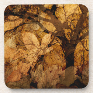 Golden and Brown Leaves   Merritt Island, FL Coaster