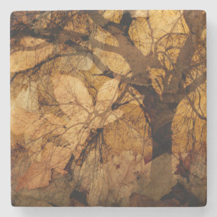 Golden and Brown Leaves Merritt Island, FL Stone Coaster